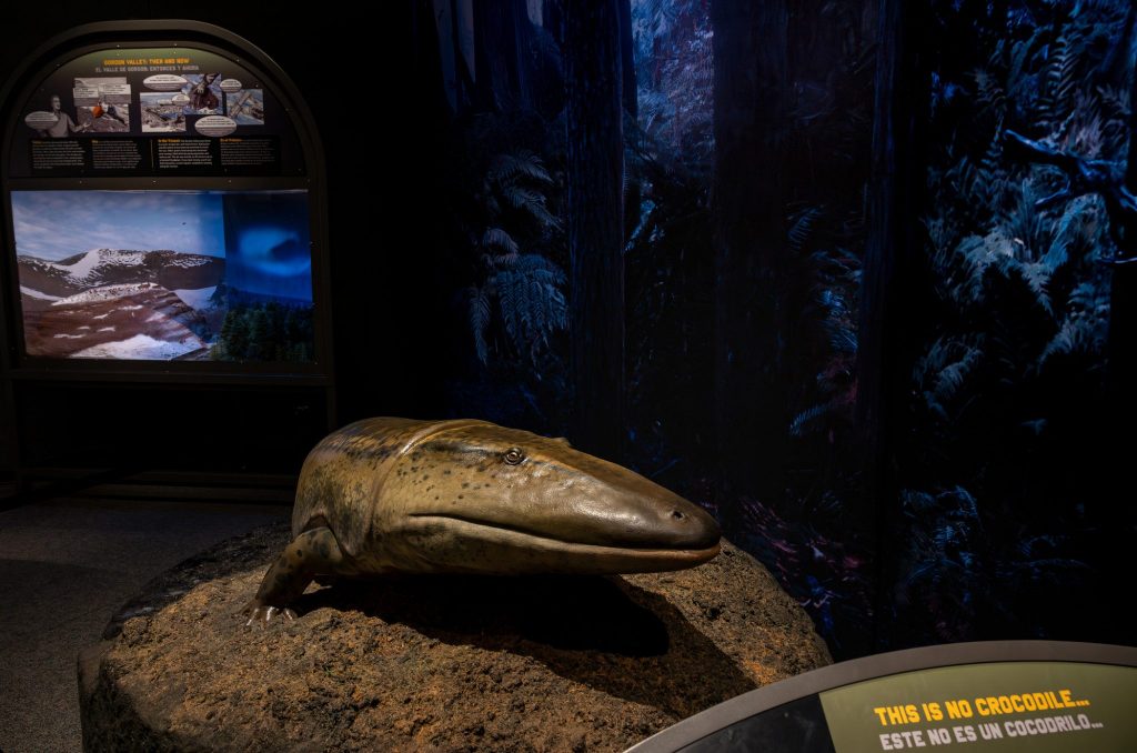 dramatically lit display in the Antarctic Dinosaurs exhibit