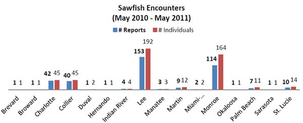 Sawfish encounters in Florida counties, May 2010 to May 2011