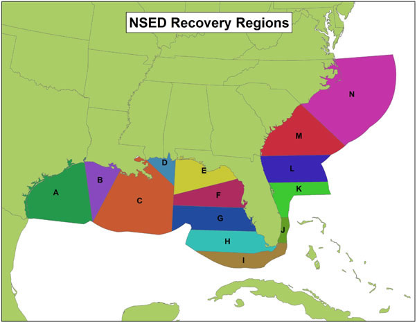 Location of the recovery regions established in the Smalltooth Sawfish Recovery Plan and their respective number of reports from 1998 to May 2011