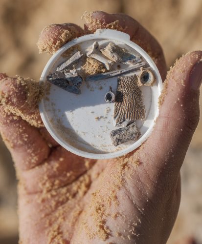 Sandy hands of a volunteer with various fossils