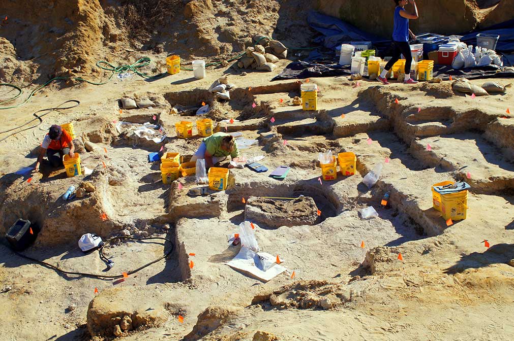 fossil digging sites near me