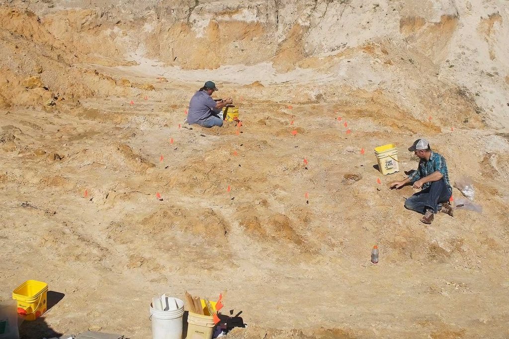 Beginning excavations on the Montbrook dig