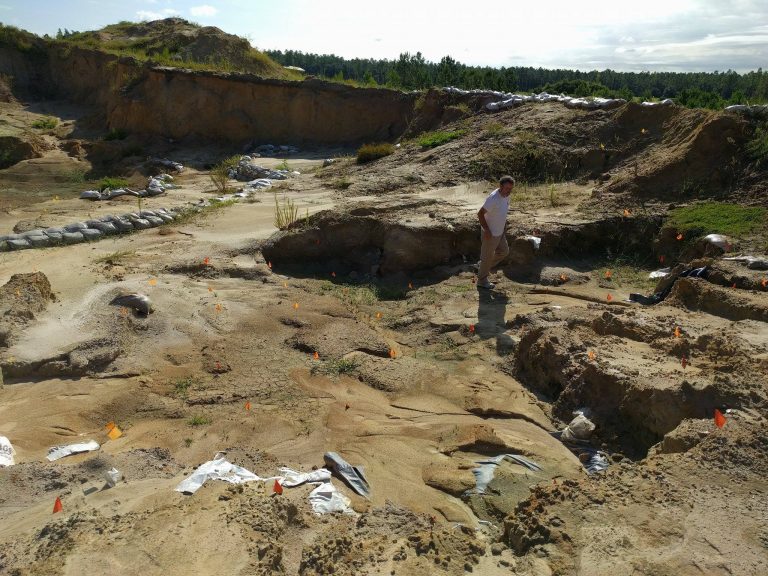 montbrook fossil site
