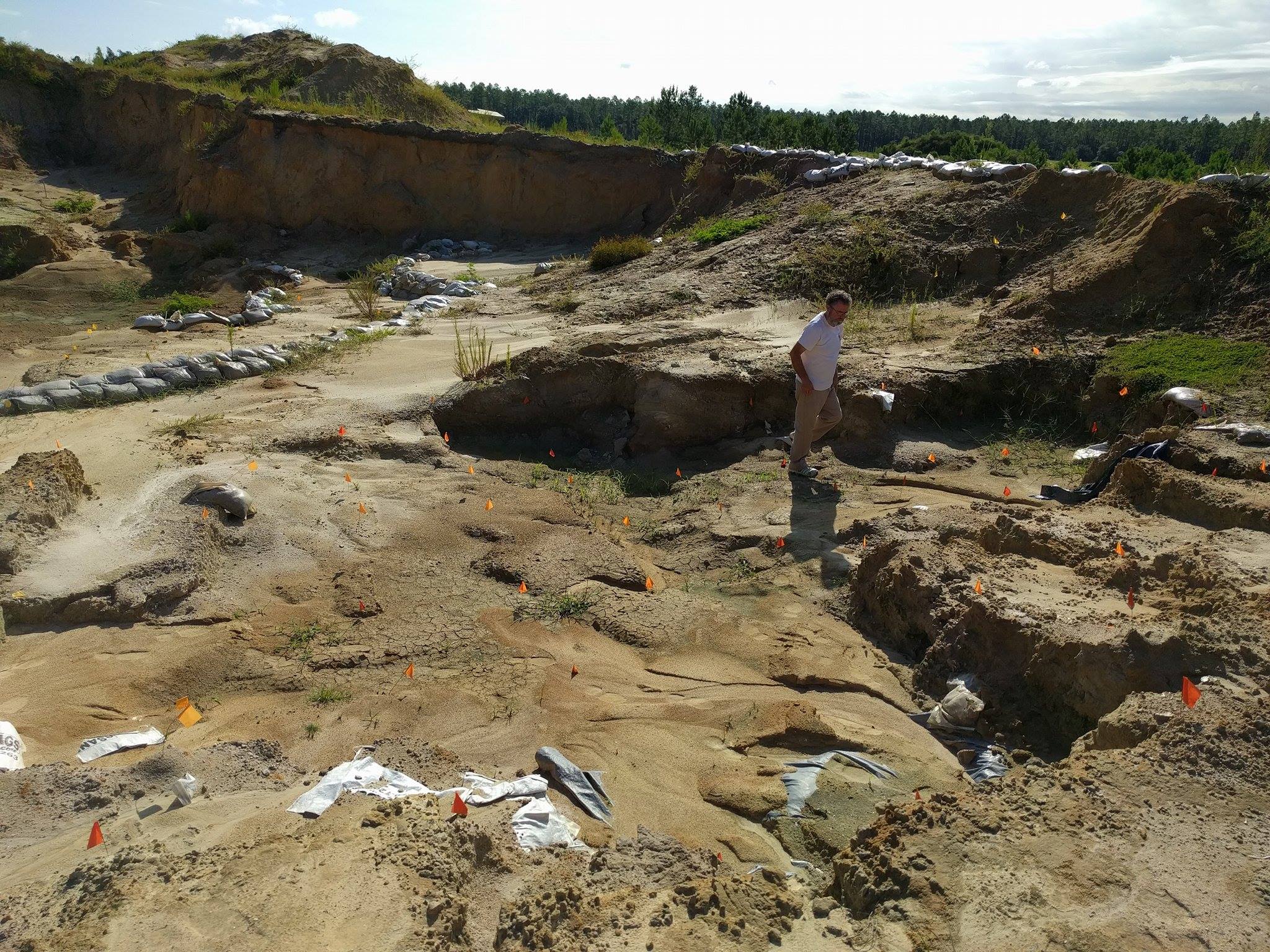 montbrook fossil dig