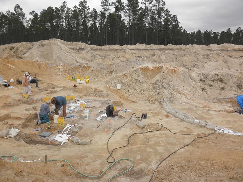 montbrook fossil dig