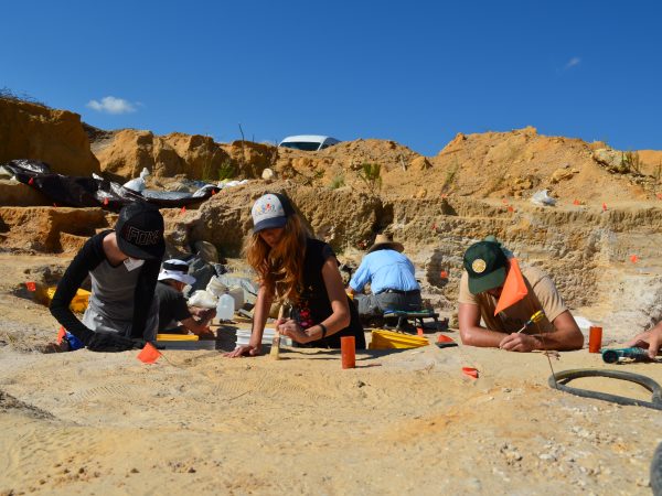 digging at the fossil site