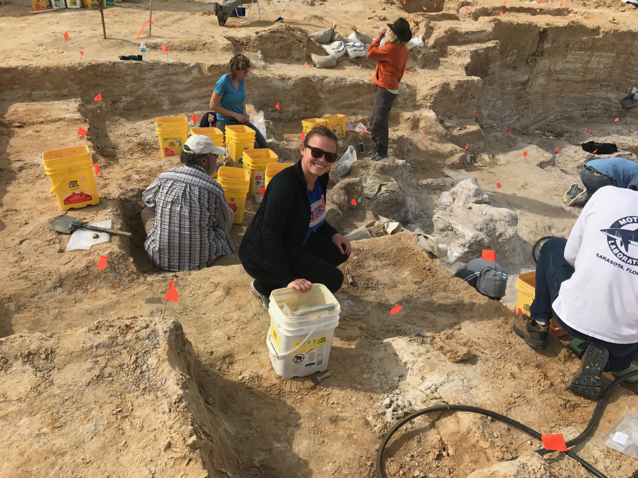 montbrook fossil site