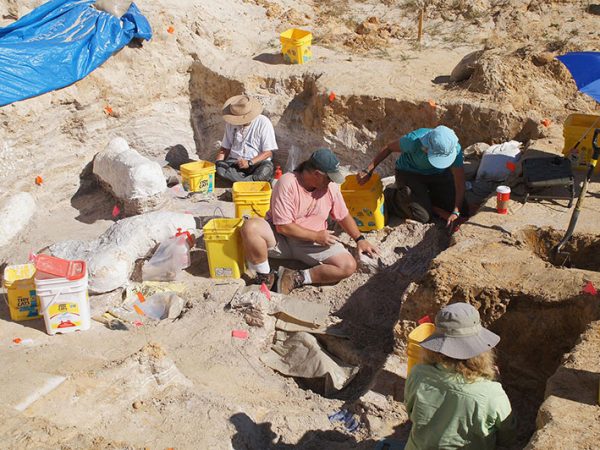 montbrook dig site with volunteers and scientists
