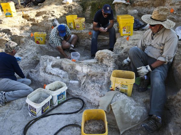 digging at Montbrook