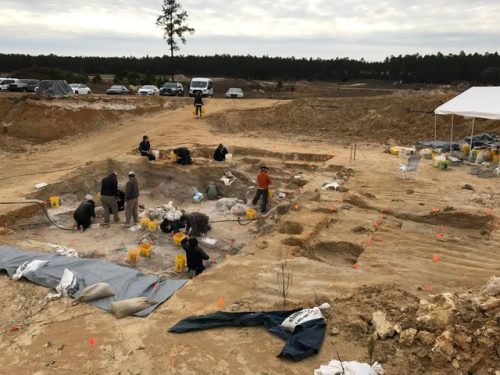 View of the Montbrook dig.