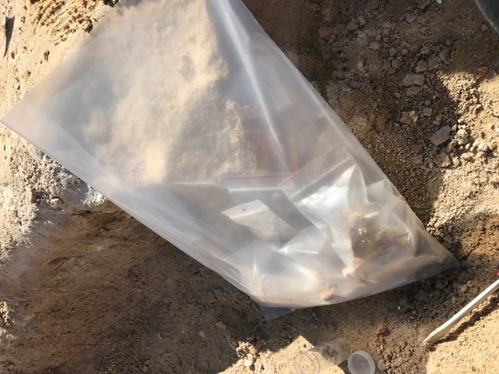 My fossil finds