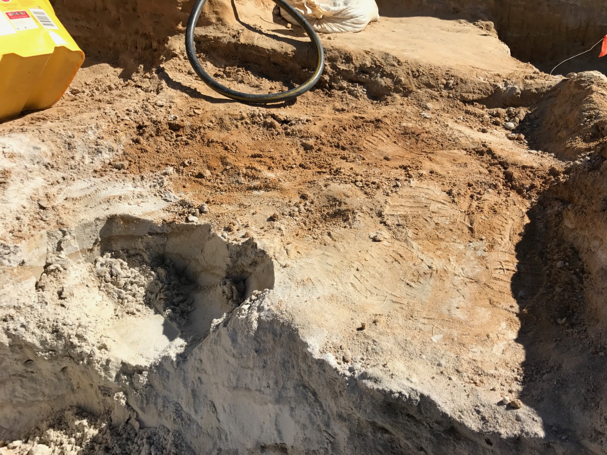 fossil dig sites