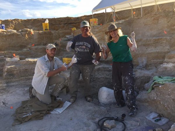 fossil plastered successfully