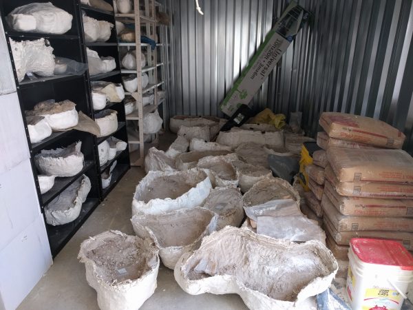 Jacketed fossils waiting to be prepped.