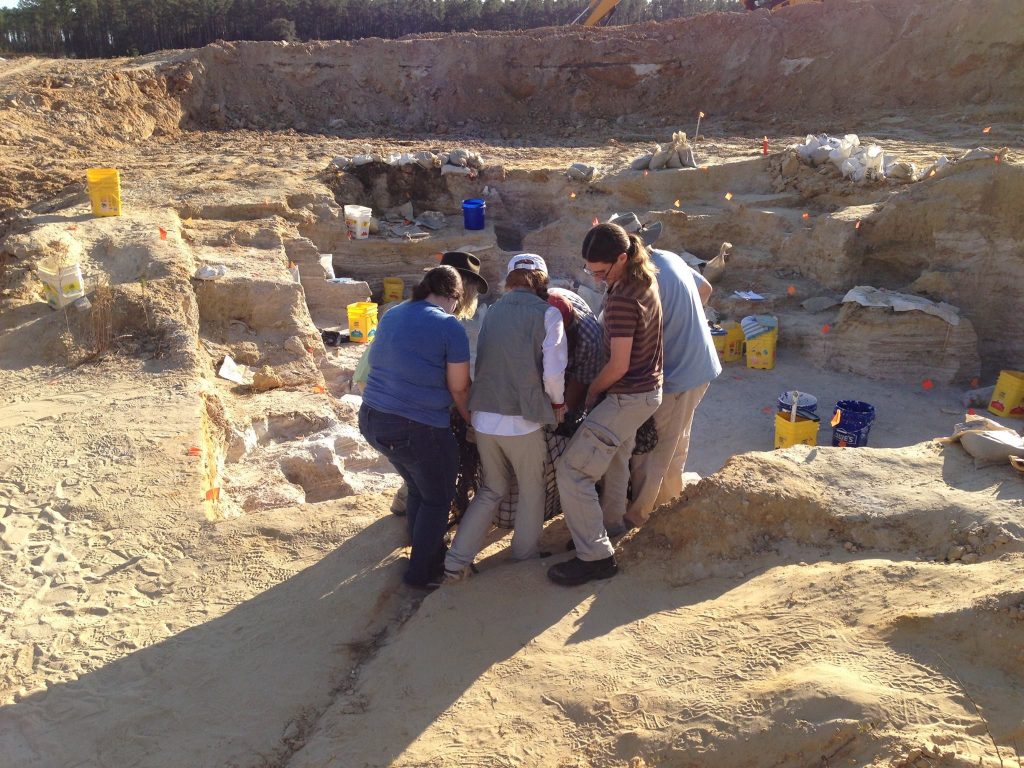 people carrying fossil over trench