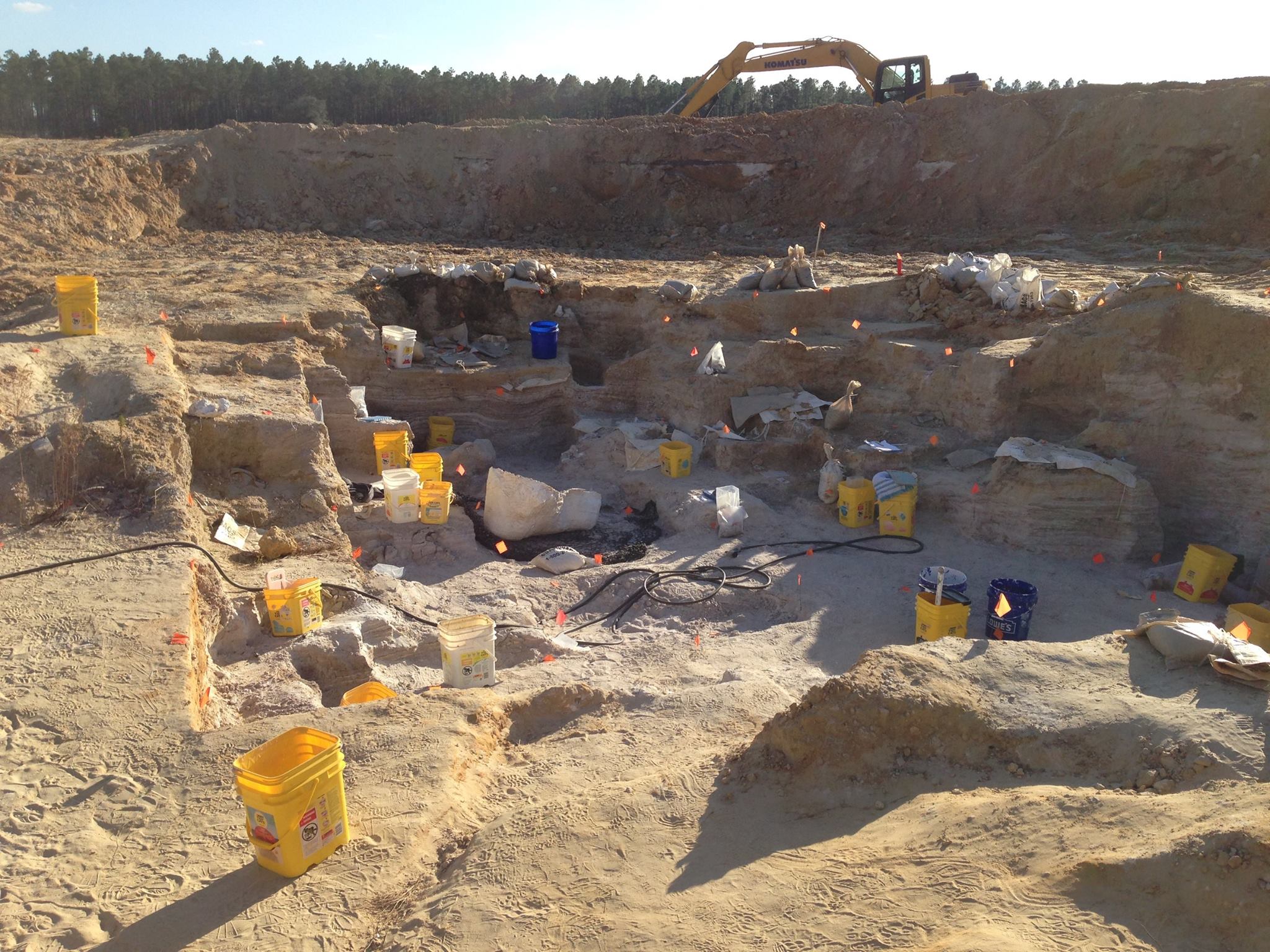 fossil dig sites