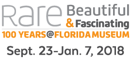 Rare, Beautiful & Fascinating exhibit logo