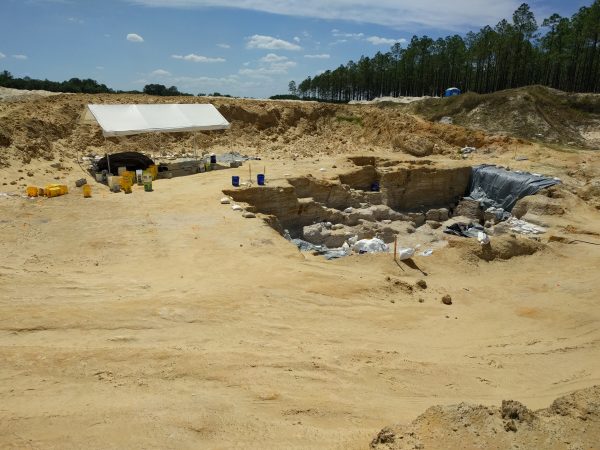 Montbrook pit, spring 2017