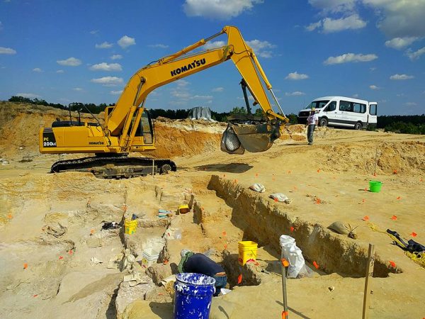 excavator moving large fossils