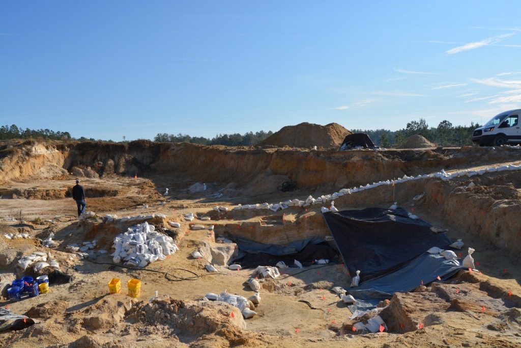 Arrival at the Montbrook dig site in the morning before the volunteers arrive. Sandbags are used to weigh down the tarps protecting exposed fossils and to limit the amount of soil washed into the dig site from rain.