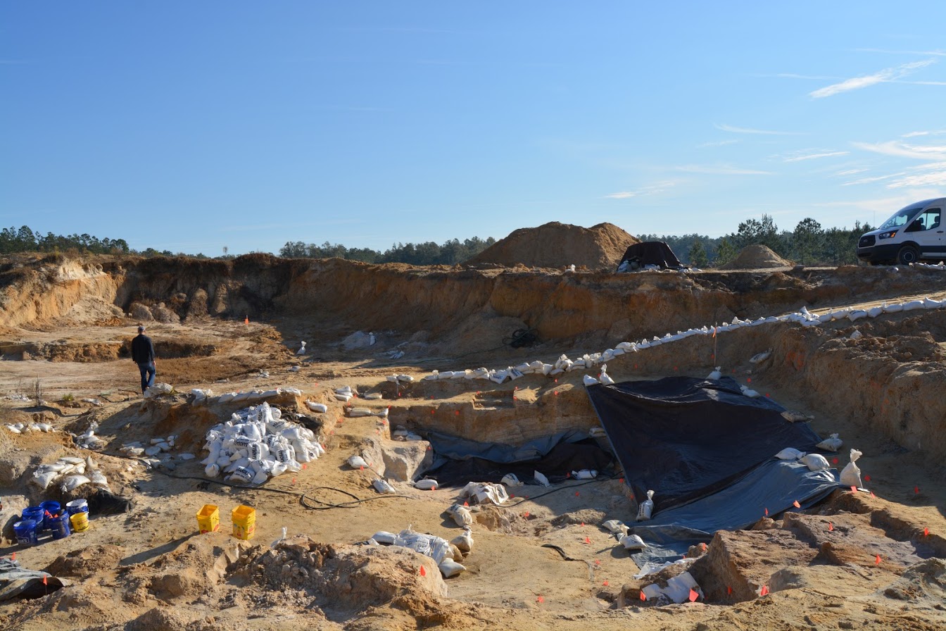 montbrook fossil site