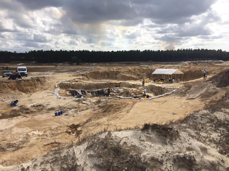 montbrook fossil site