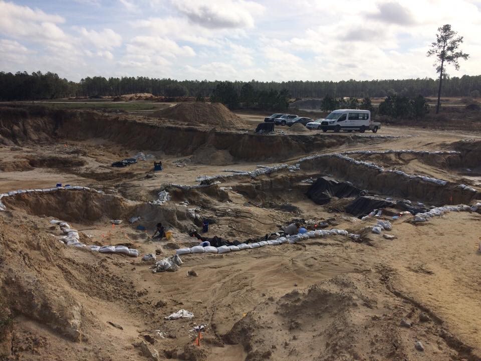 montbrook fossil site