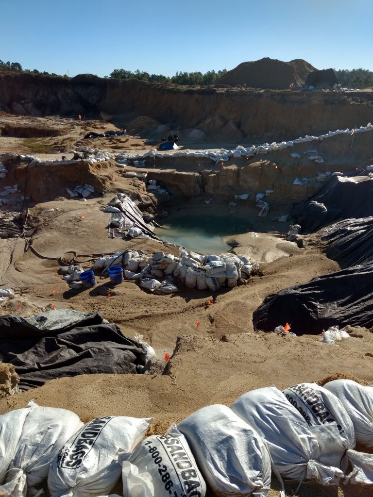 The dig site after a heavy rain. Florida Museum photo by Rachel Keefe.