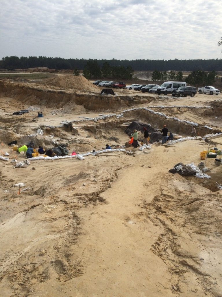 A photo of the site. You can see some of the marks in the sand from rainwater flowing through.