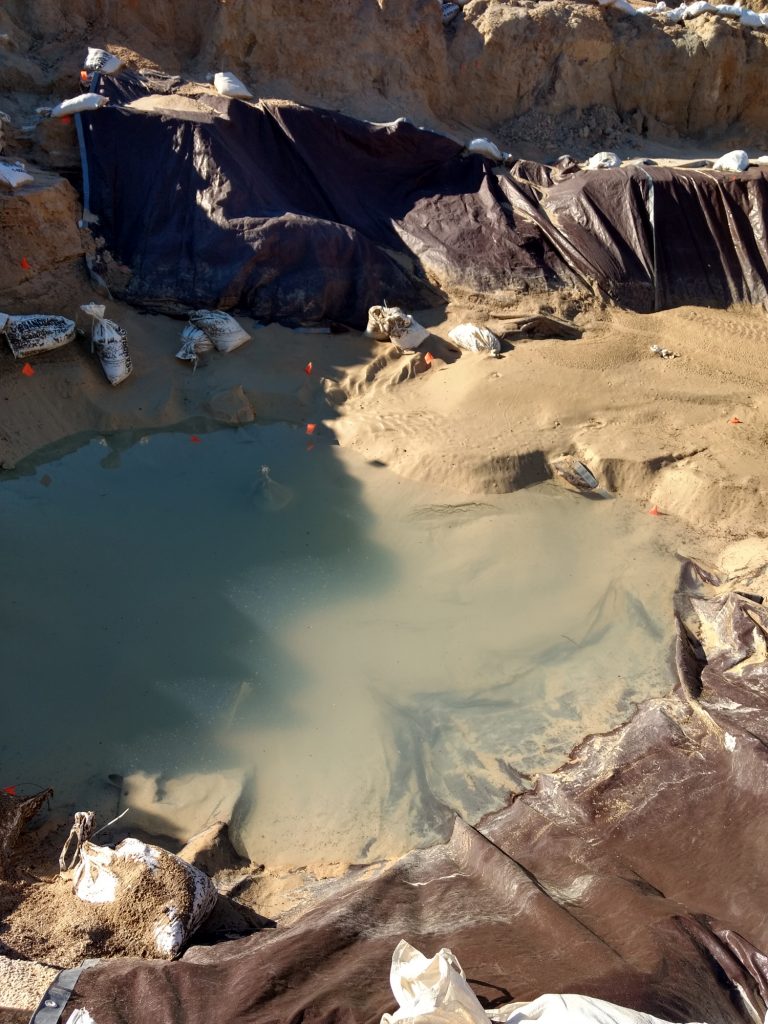 The dig site after a heavy rain. Florida Museum photo by Rachel Keefe.