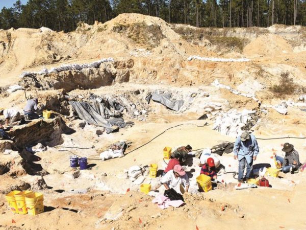 Montbrook Fossil Dig. Photo by Carolyn Ten Broeck/Williston Pioneer