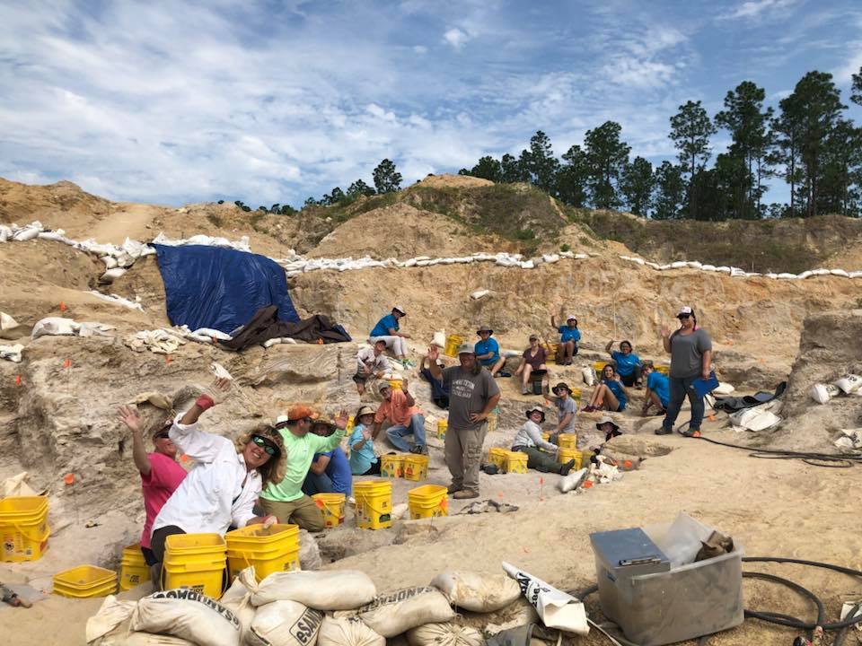 montbrook fossil site