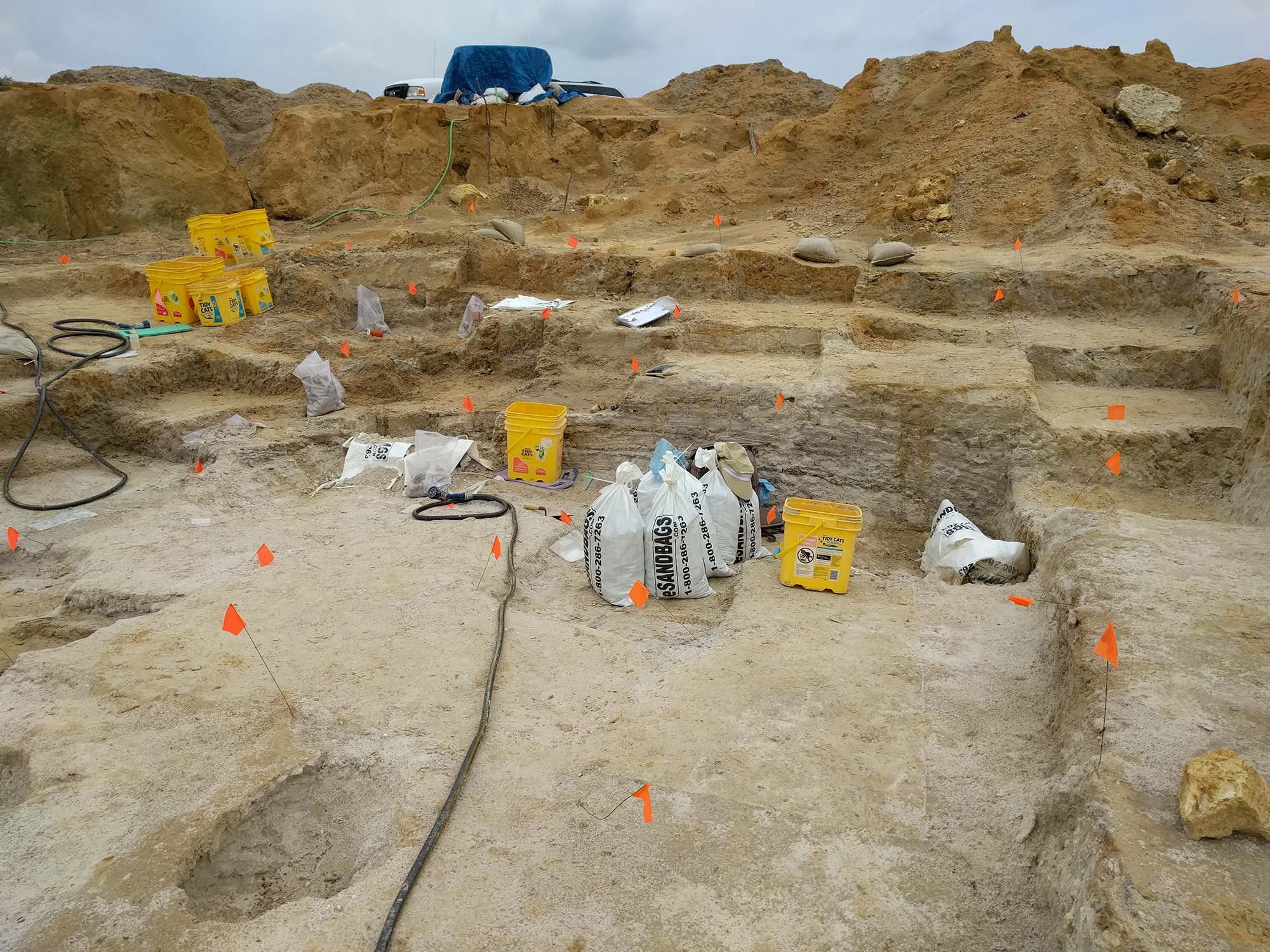 montbrook fossil site