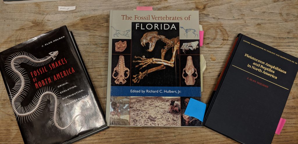 A few recommended microvertebrate fossil identification guides.