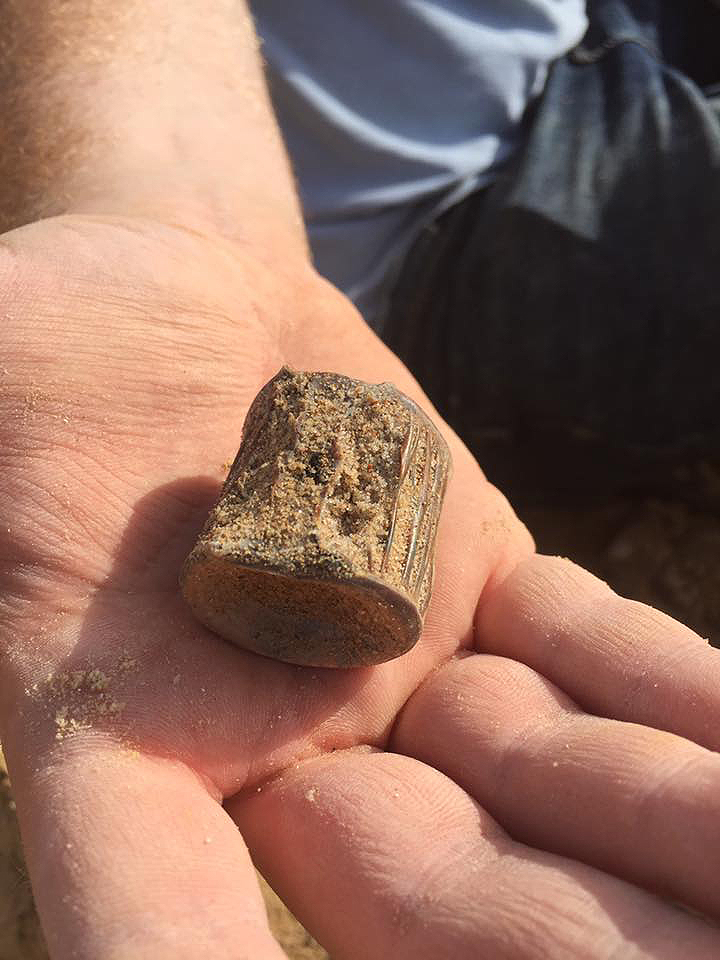 montbrook fossil dig
