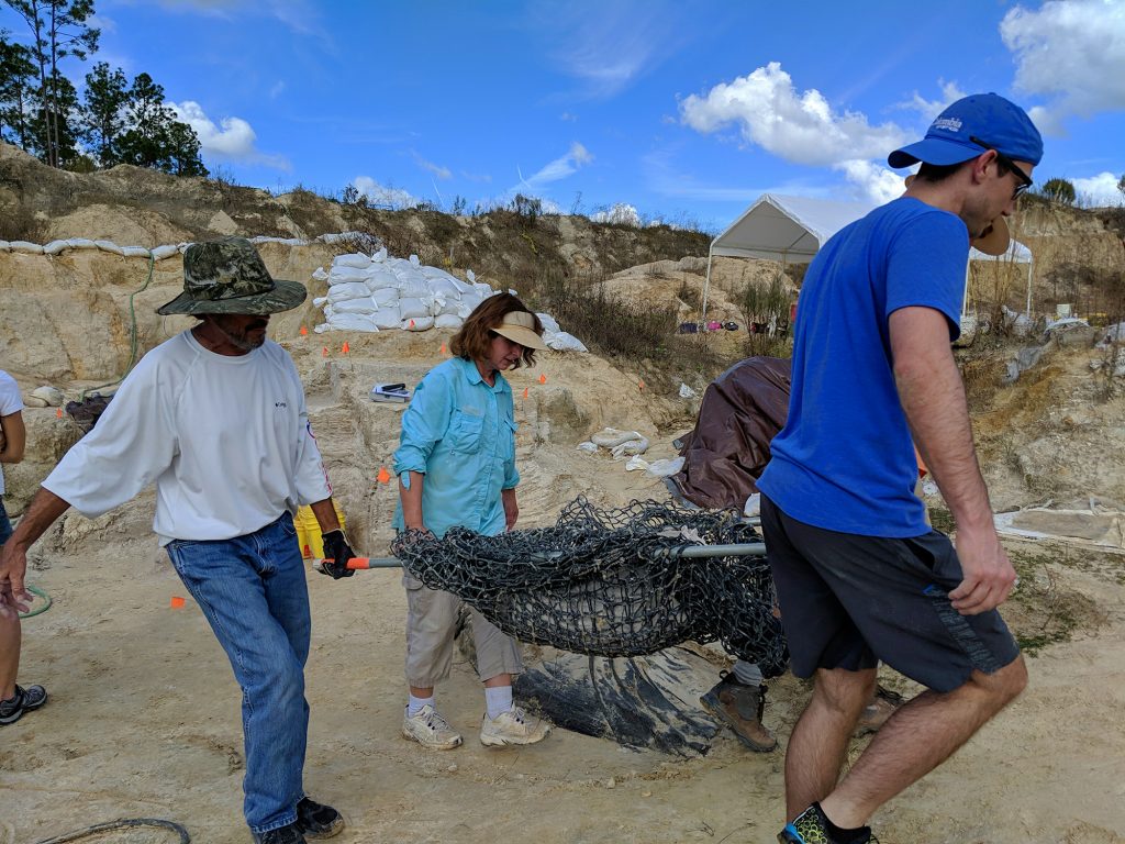 The crew moving out Michele Wilbanks peccary skull jacket. Florida Museum photo by Rachel Narducci.