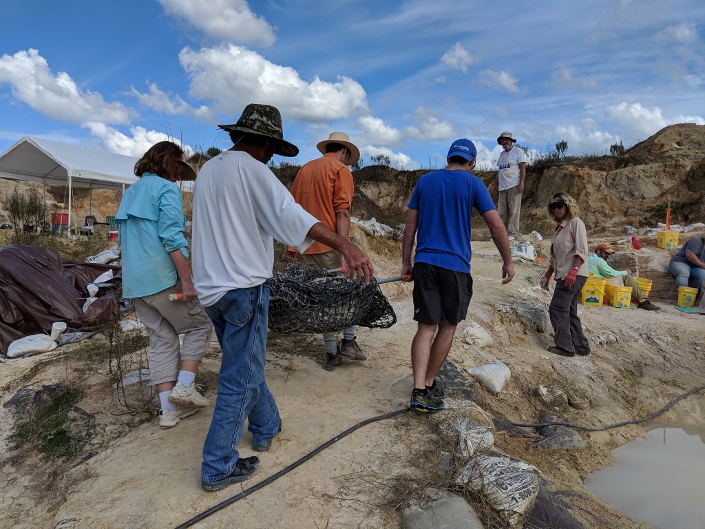 The crew moving out Michele Wilbanks peccary skull jacket. Florida Museum photo by Rachel Narducci.