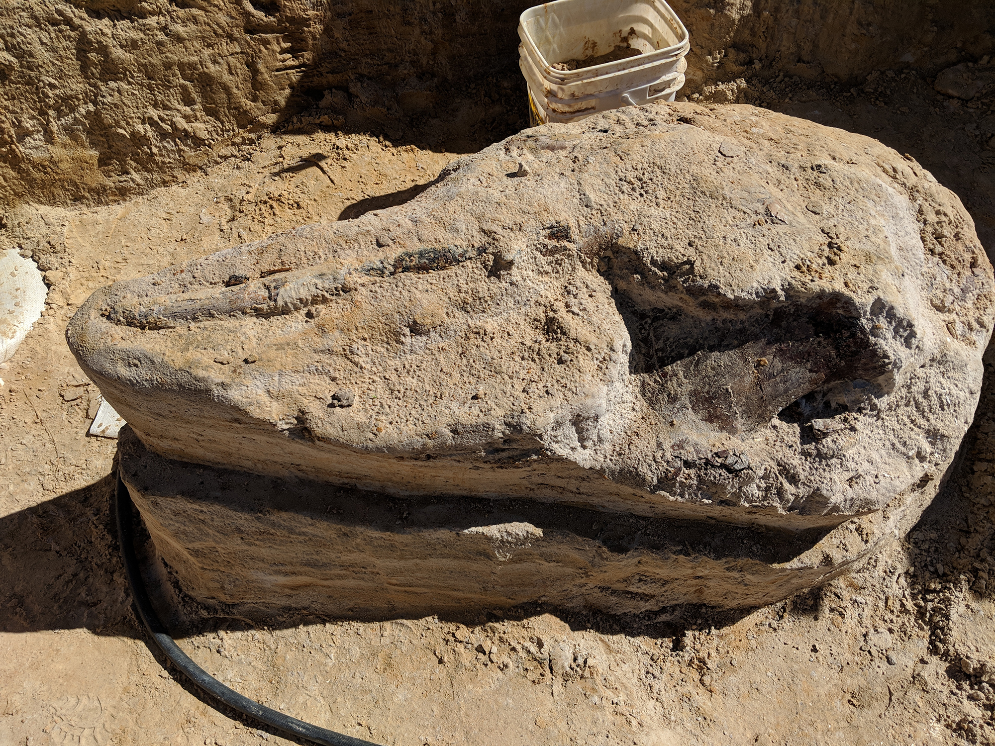 montbrook fossil site