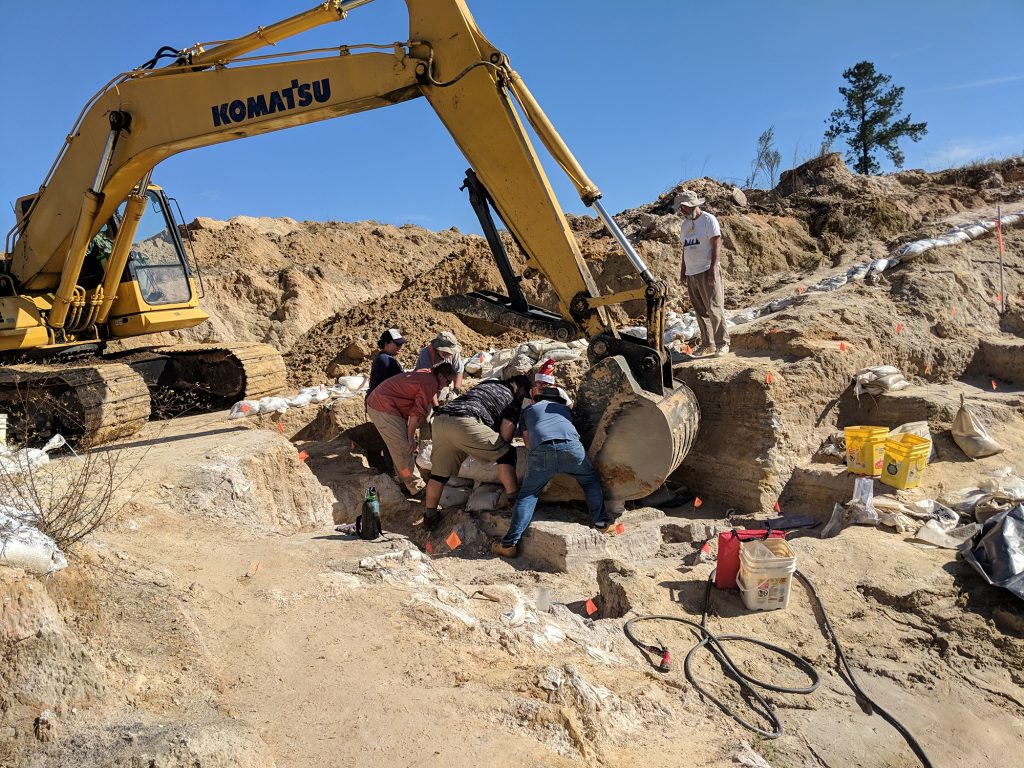 Attempting to get a large plaster jacket onto the back hoe.