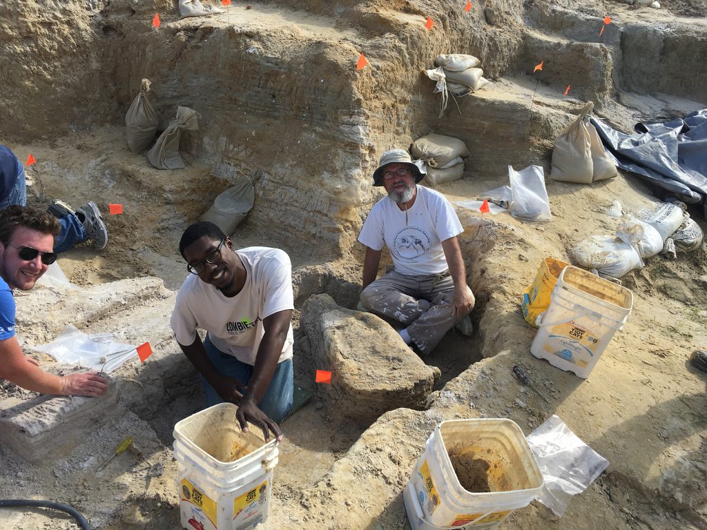 MacKenzie Smith, Aaron Woodruff, and Richard Hulbert working around the concentration of proboscidean fossils. Florida Museum photo by Cindy Lockner.