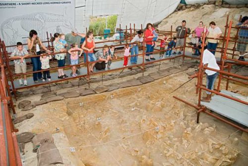 The fossil site of Langebaanweg in the West Coast Fossil Park. Photo from http://www.fossilpark.org.za/gallery/gallery.php