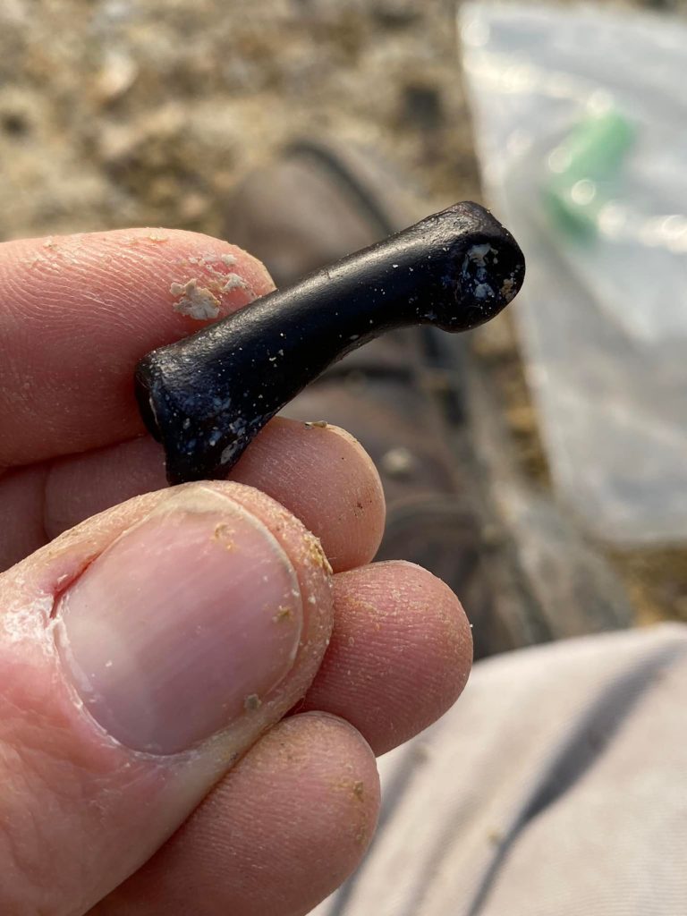 hand holding small fossil