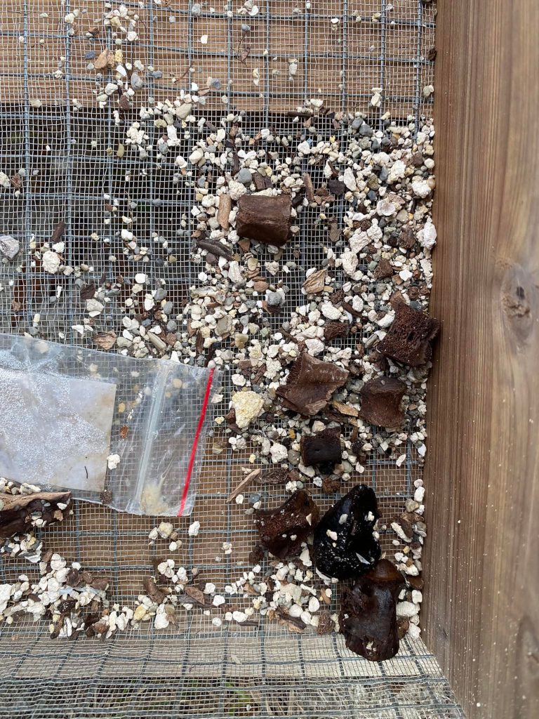 fossils and rocks in shifting screen