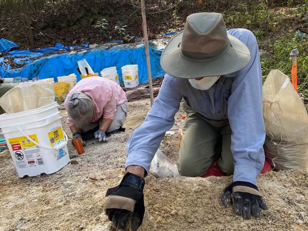volunteer kneeling, working on dig site