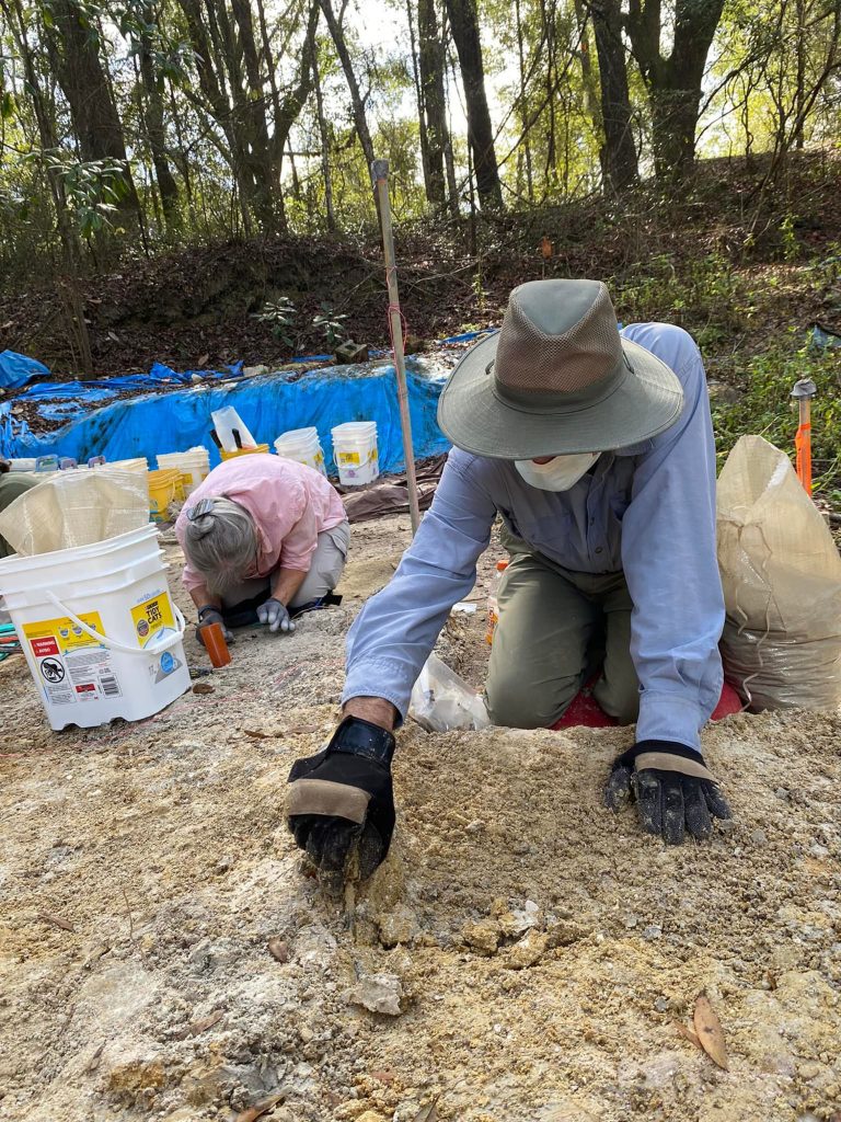 volunteer kneeling, working on dig site