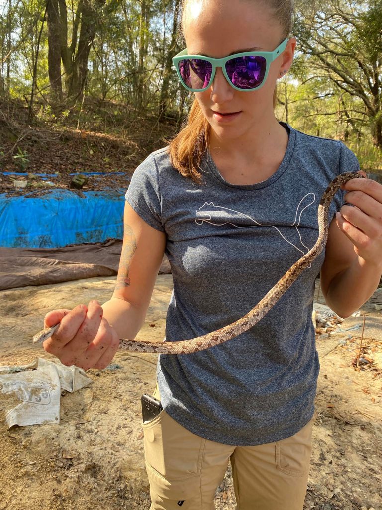 volunteer holding a live snake