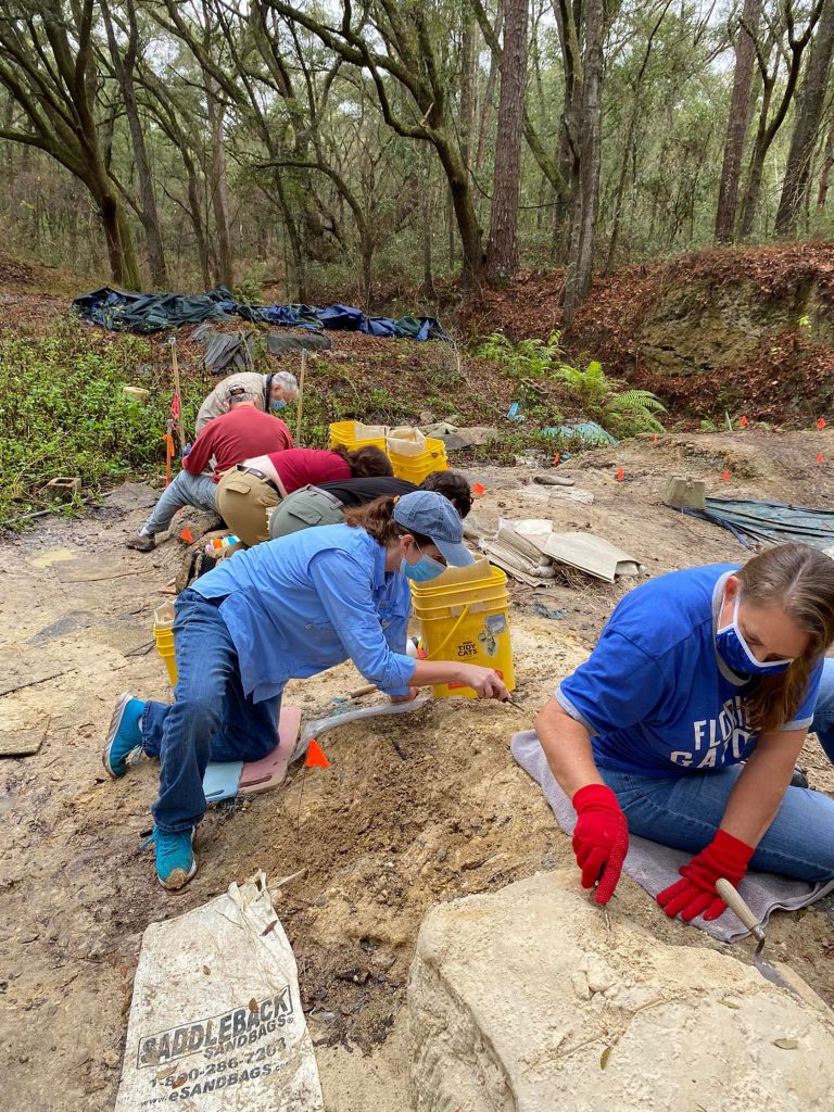 several people working on the fossil site