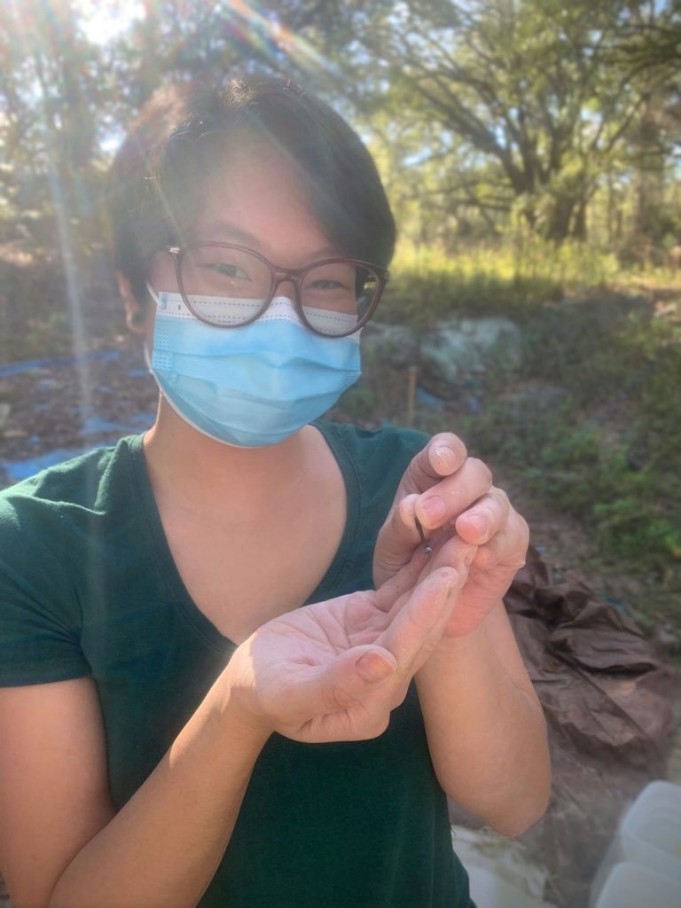 volunteer in a mask holding a small fossil