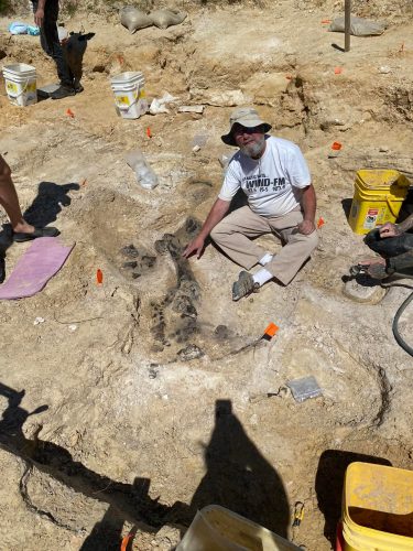 person sits looking up at the camera. A partially uncovered fossil can be seen next to them