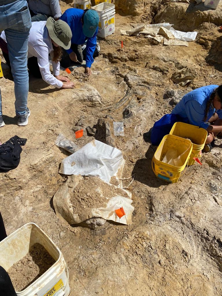 Several people in long sleeves and hats sit on the ground and use their hands to dig out fossils